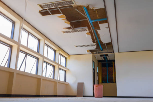 Best Water damage restoration near me  in Heflin, AL