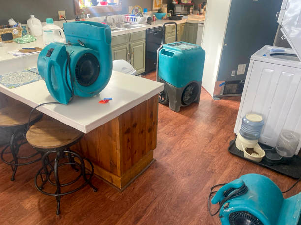 Best Fire Damage Restoration  in Heflin, AL