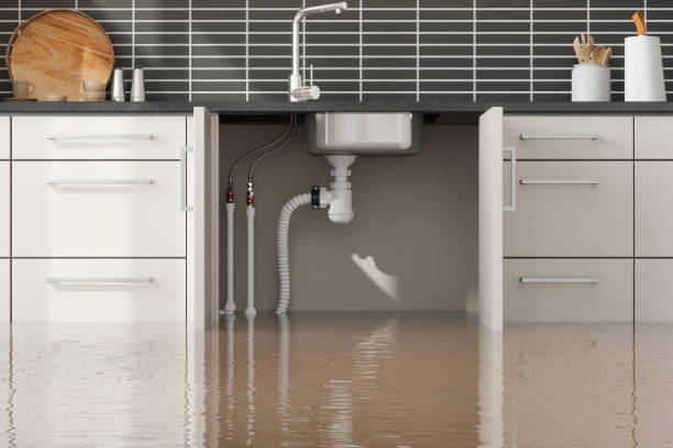 Best Flood restoration services  in Heflin, AL