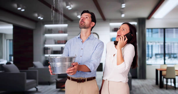Best Water damage contractors near me  in Heflin, AL
